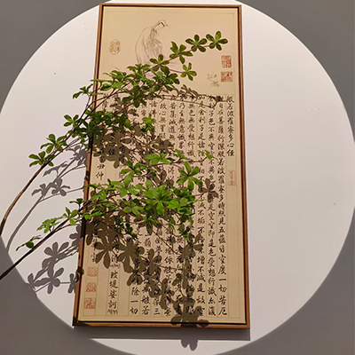 Lighting fixtures / LED strips / Spotlight effects